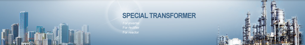 SPECIAL transformer img